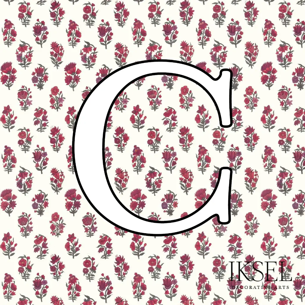 Boteh Custom C-RW302