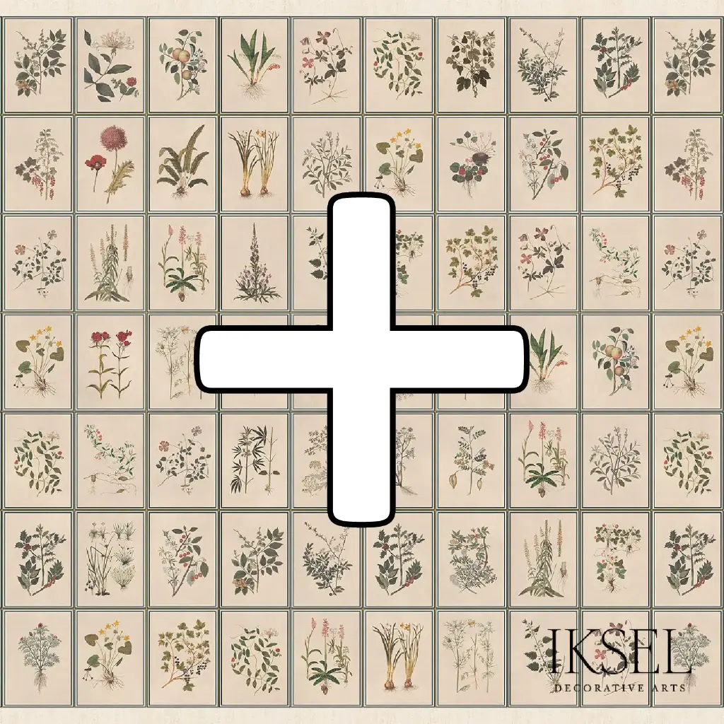 Renaissance Herbier STD+ P-SC146