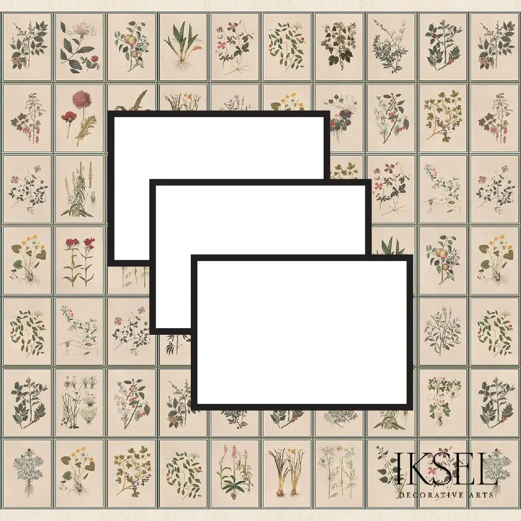 Renaissance Herbier Sampling X-SC146