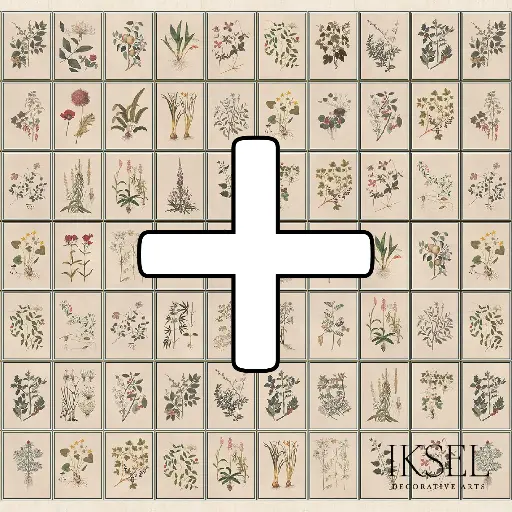Renaissance Herbier STD+ P-SC146