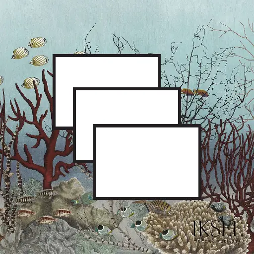 D-Ocean Still Life Sampling X-SC133
