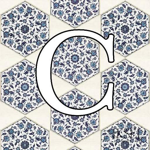 Iznik Hexagonal Tiles Custom C-RW113