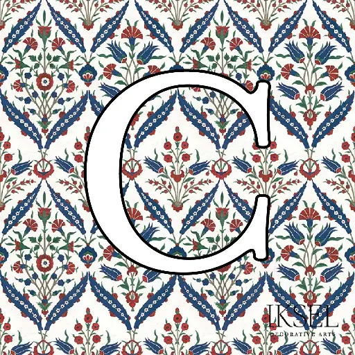 Iznik Aisha Custom C-RW116