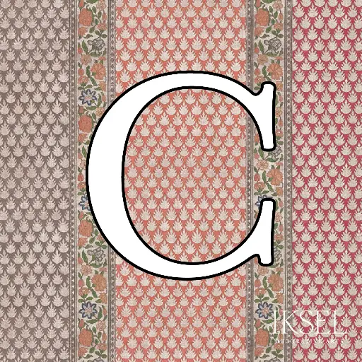 Kashan Stripe Custom C-RW919