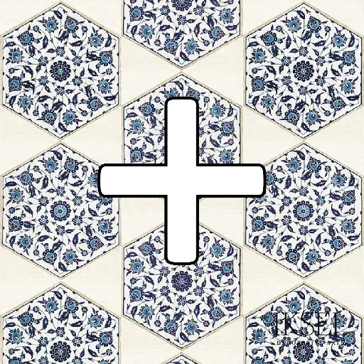 Iznik Hexagonal Tiles STD+ P-RW113