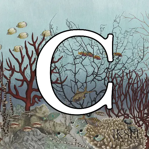 D-Ocean Still Life Custom C-SC133